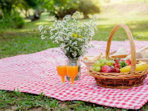 モデルプランまとめ(学年・タイプ別