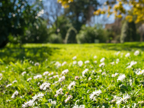 【季節別・天候別】シーン別おすすめスポット